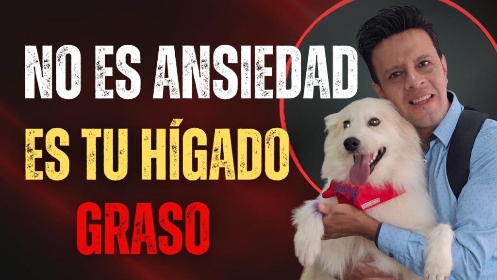 ¿Y si no era ansiedad? El hígado graso también puede darte estos síntomas